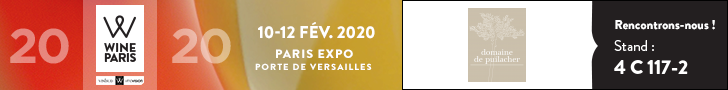 WineParis Bannière